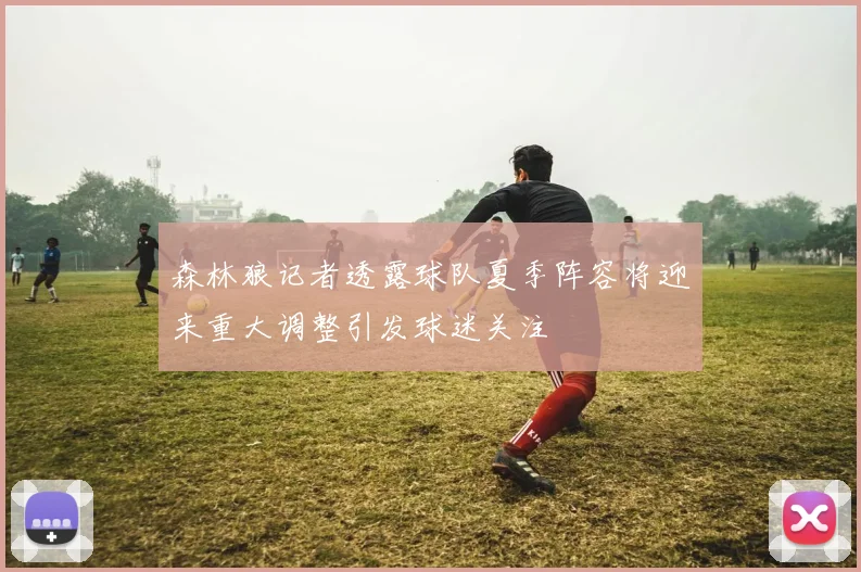 森林狼记者透露球队夏季阵容将迎来重大调整引发球迷关注