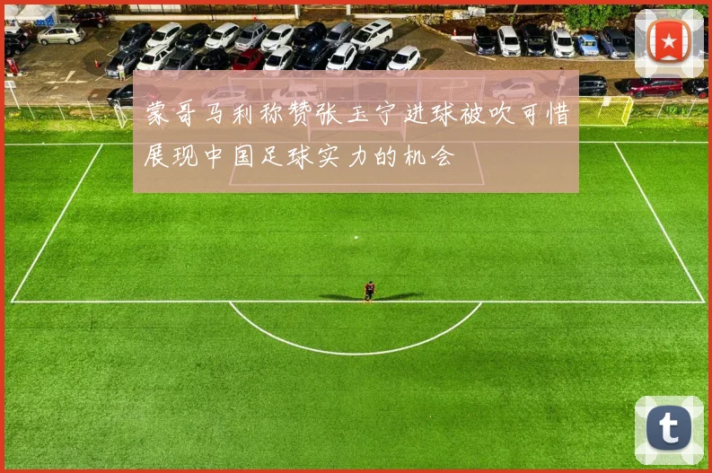 蒙哥马利称赞张玉宁进球被吹可惜展现中国足球实力的机会